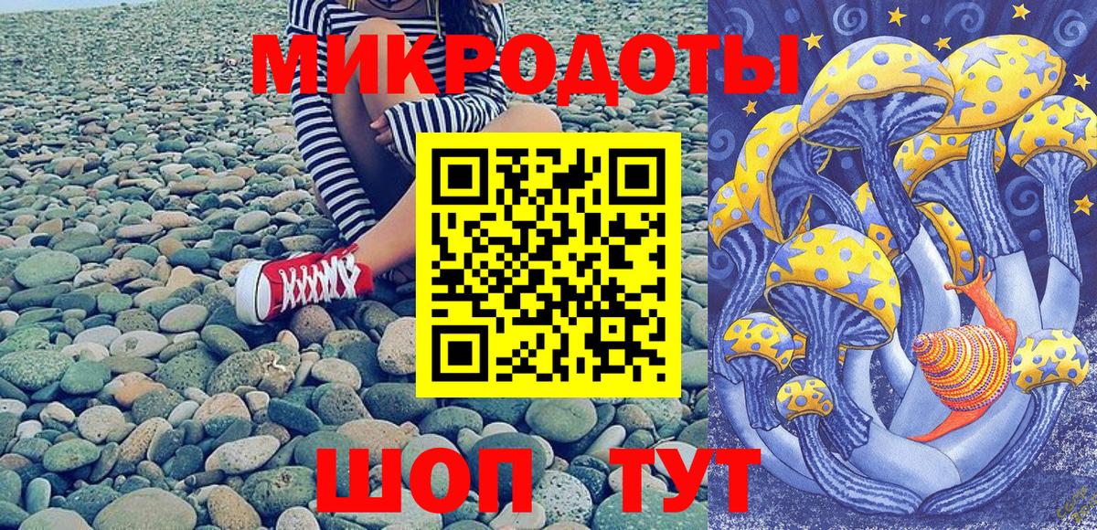Галлюциногенные грибы Psilocybe Черногорск