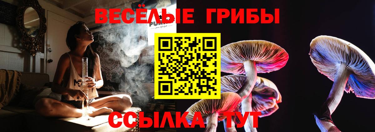 Черногорск  Псилоцибиновые грибы MAGIC MUSHROOMS  Вход с VPN 